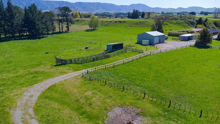 569 Laws Road Dannevirke_29