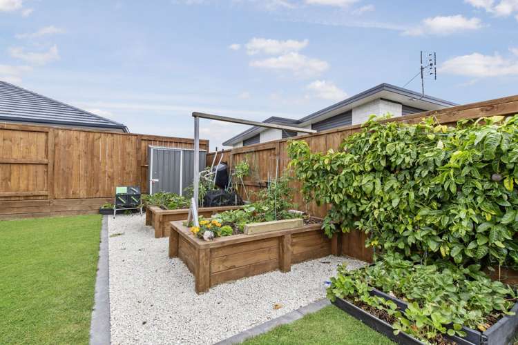 118 Te Ranga Memorial Drive Pyes Pa_14