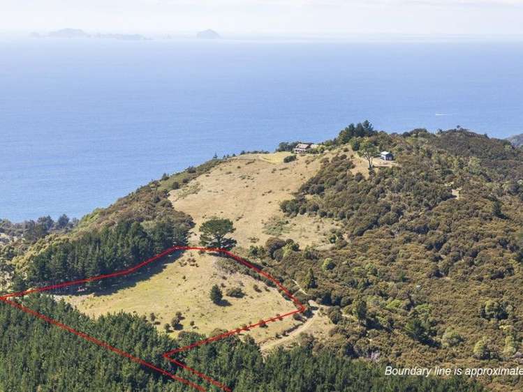 425l Boat Harbour Road Whenuakite_15