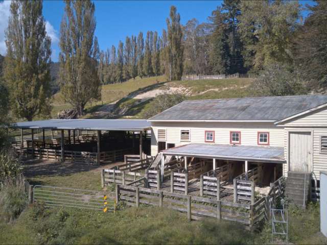 637 Makakahi Road Ruatiti_3