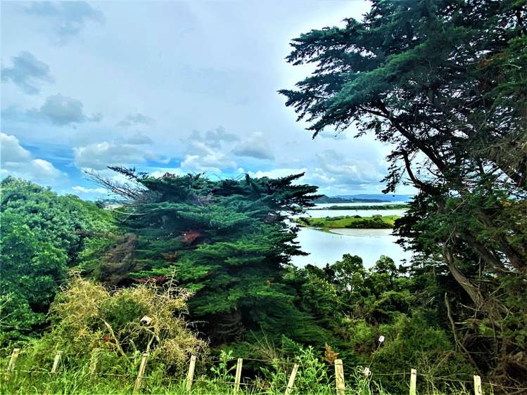 178a Wallace Road Mangere Bridge_2