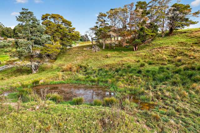 397 Pahi Road Pahi_4