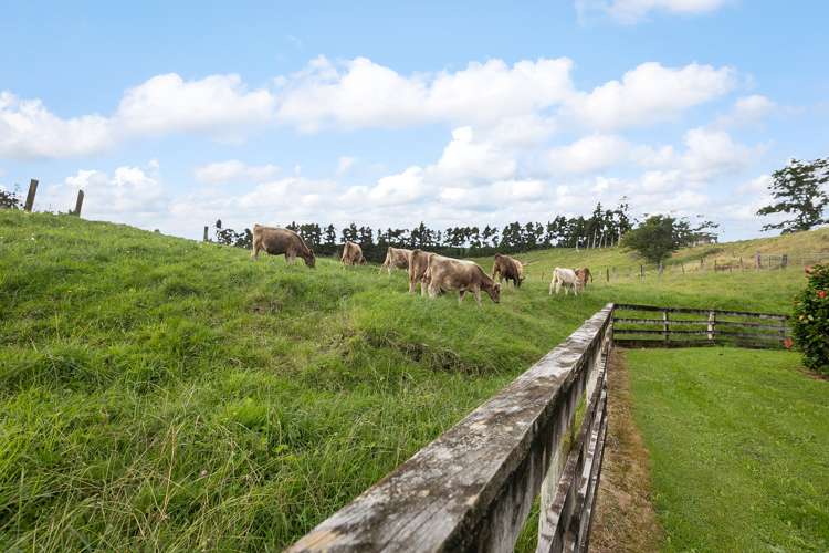 12 Upland Road Aongatete_8