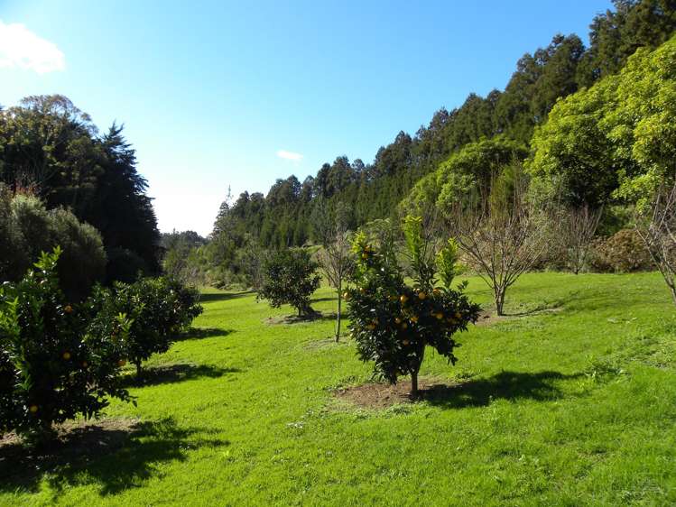 140 Wharawhara Road Hauraki Surrounds_13