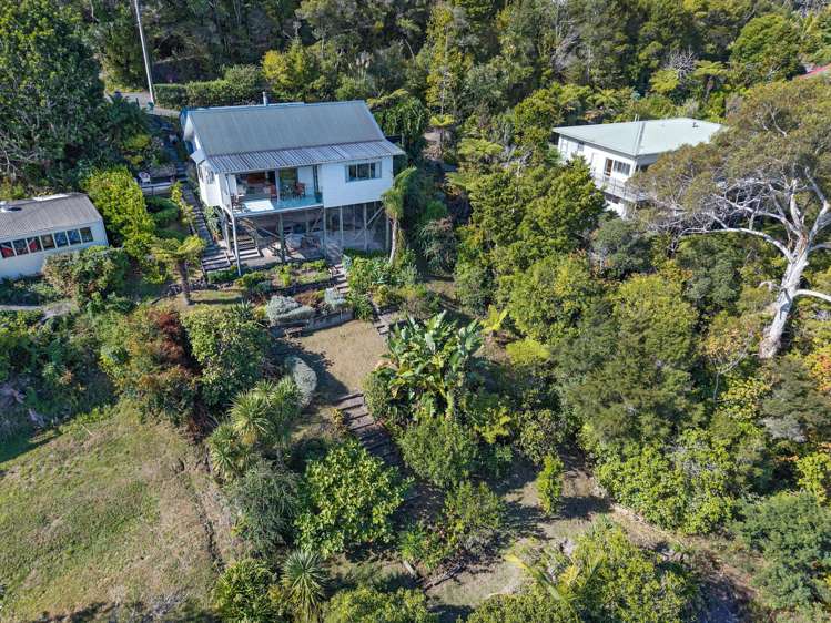 48 Punga Grove Avenue Riverside_13