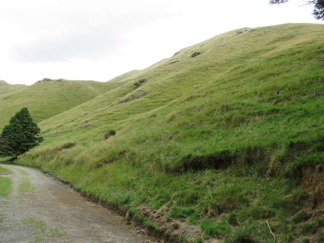 629 Tamaki East Road Rangitikei Surrounds_3