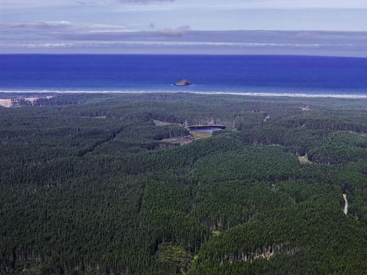 State Highway 1, Waitiki Landing Te Kao_10