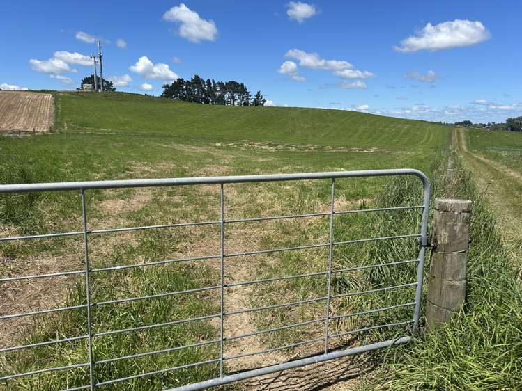 54 Puahue Road Te Awamutu_9