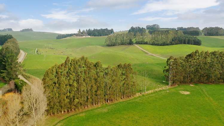 89 Brookstead Road Ngapara_16