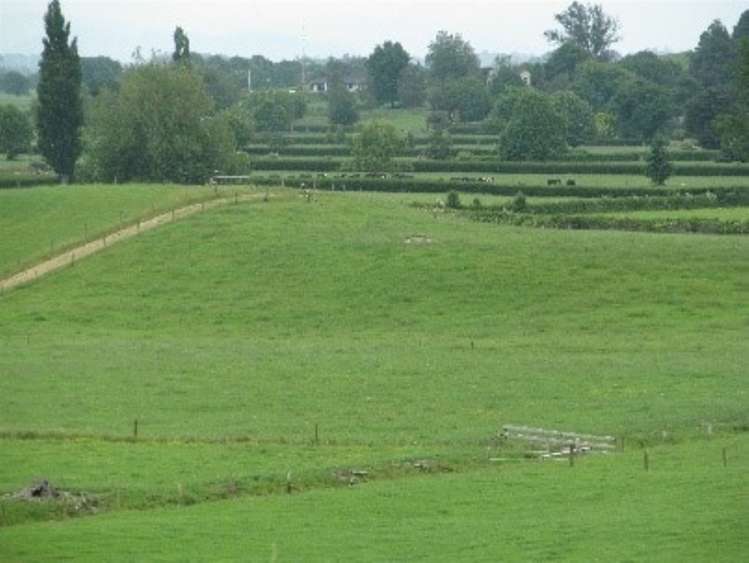 10 West Road Ohaupo_17