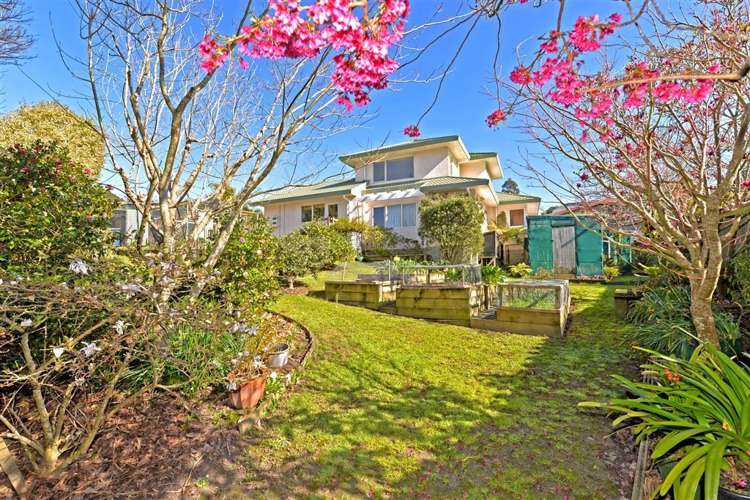 14 Queen Natalie Place Massey_1