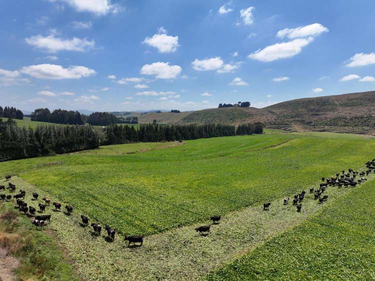 90 Rosemarkie Road Gore_8