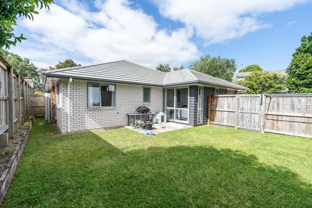 2/75A Boundary Road Claudelands_1