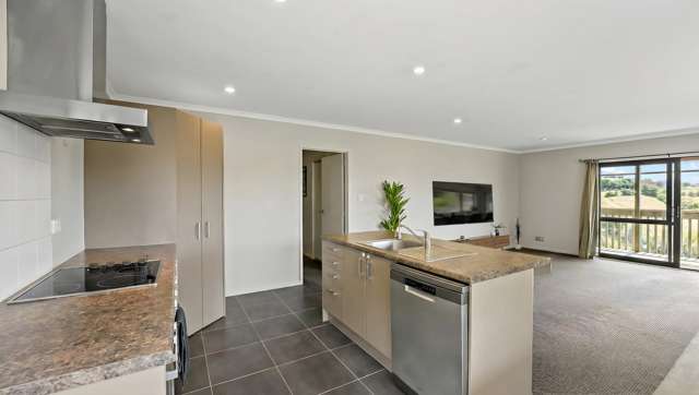 1 McGill Road Pokeno_4