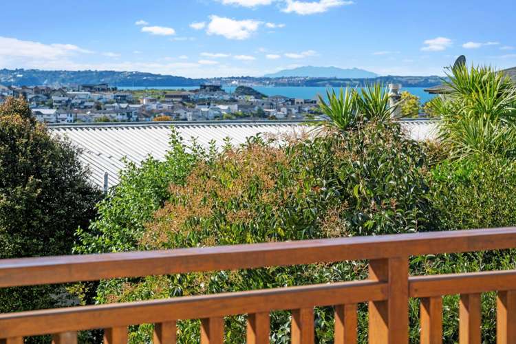 15 Summit Drive | Torbay | North Shore City | Houses for Sale - OneRoof