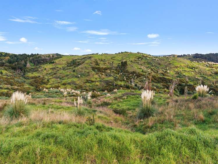 600C Bickerstaffe Road Maungaturoto_8
