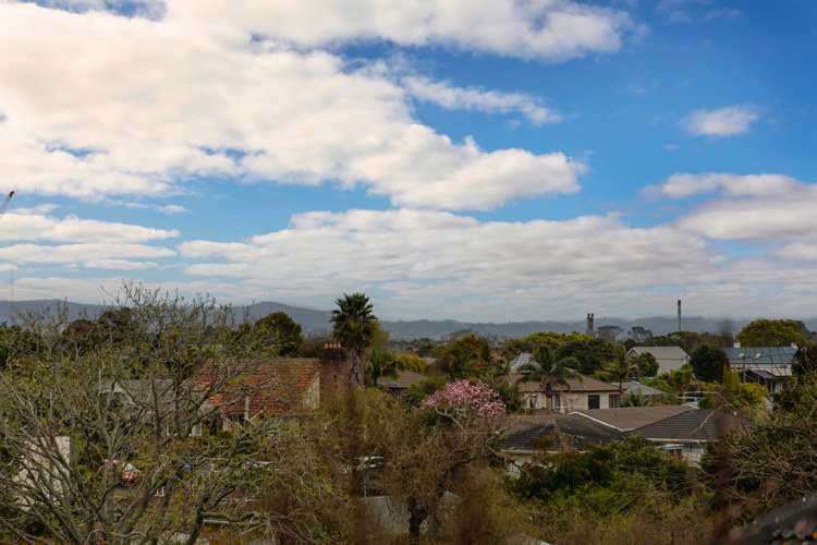 10d Amandale Avenue Mount Albert_18