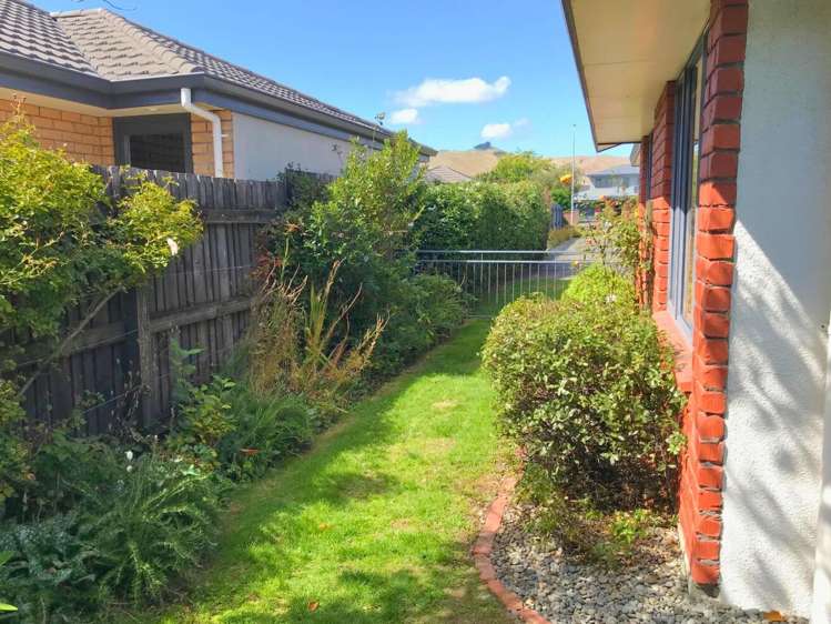 3a Robalan Place Redwoodtown_12