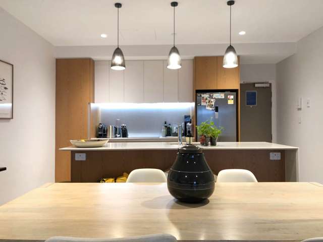 Nugent Street Grafton_1