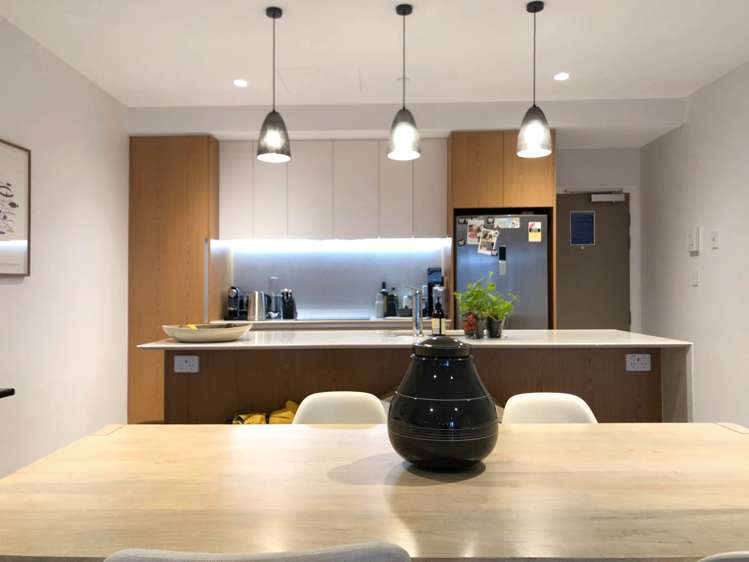 Nugent Street Grafton_1