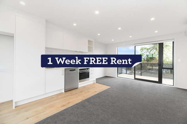 Modern living in New Lynn