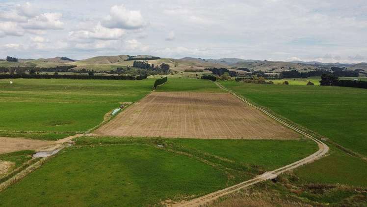 399 Cowper Road Dannevirke_21