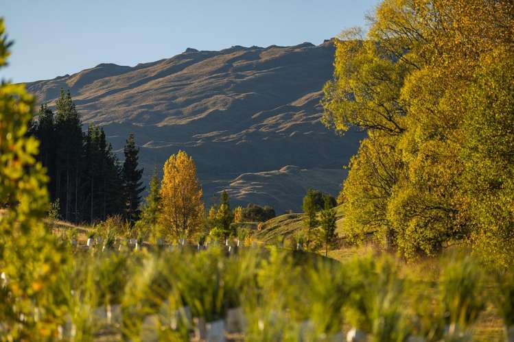 20 Station Rise Dalefield/Wakatipu Basin_11