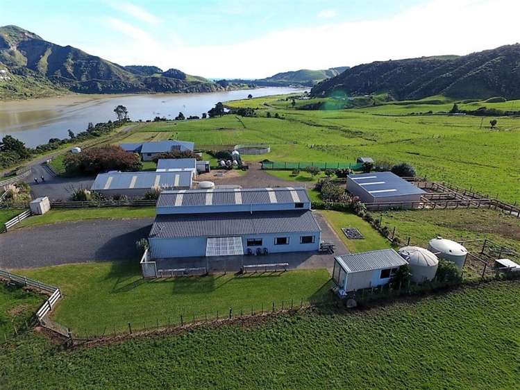 241 Te Mahoe Road Mokau_44