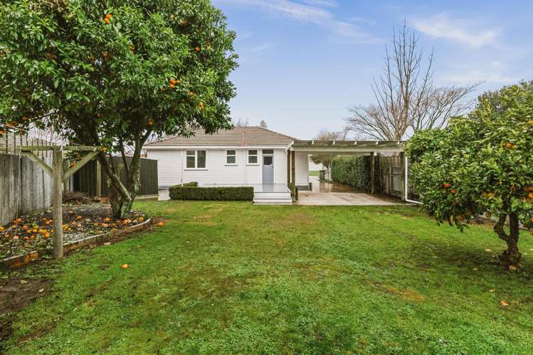 15 Tasman Street Havelock North_7