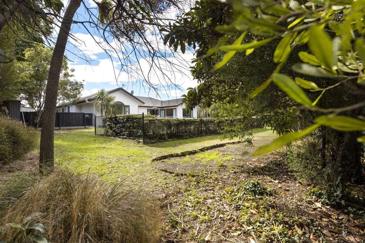 59 Anglesea Street Renwick_29