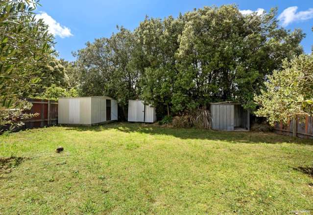 24 Arran Street Avondale_1