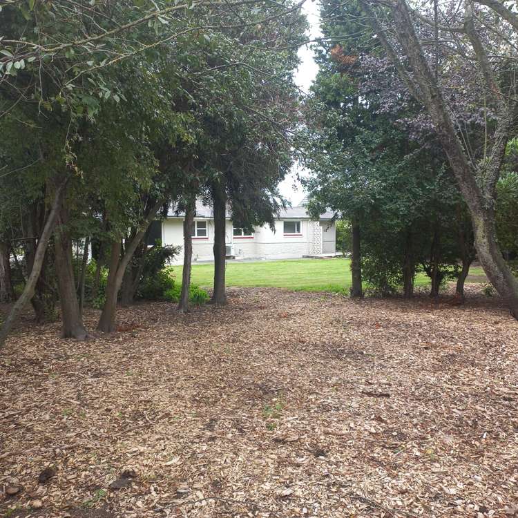 120 Williams Street Kaiapoi_20