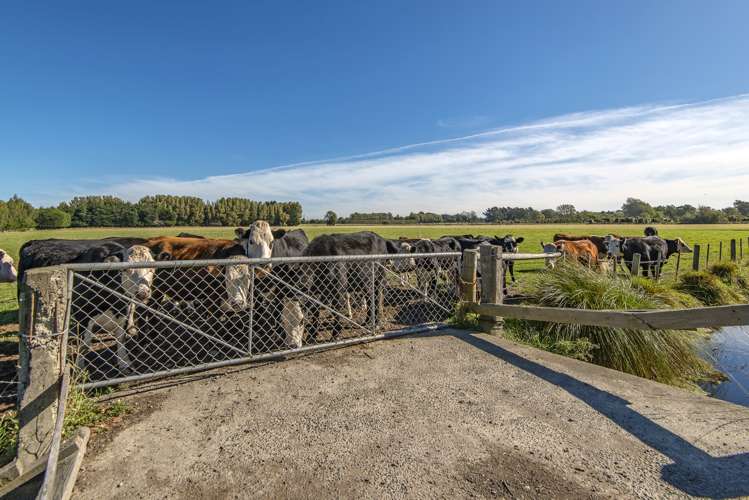 113 Quaifes Road Halswell_9