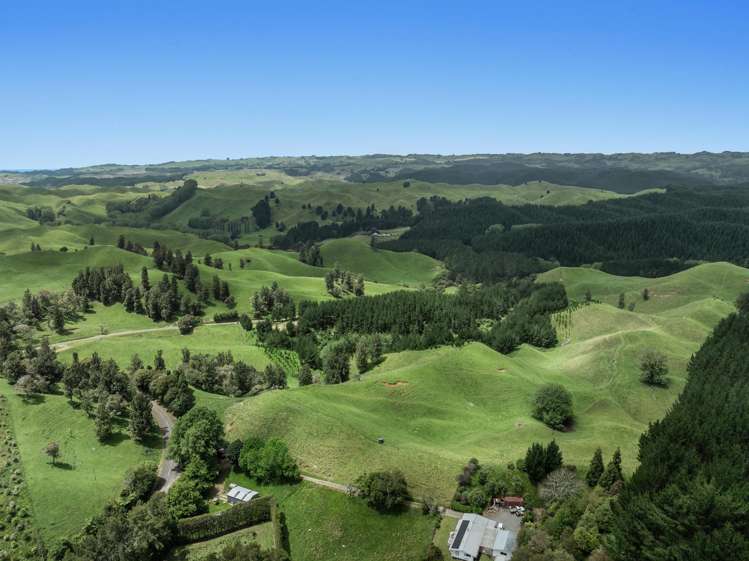 26 Settlement Road Pikowai_7