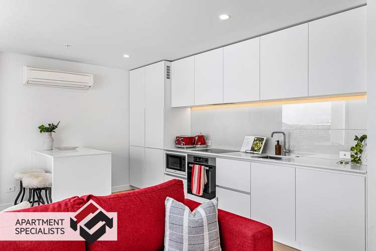 47 Randolph Street Eden Terrace_9