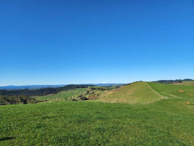 Te Anga Road Waitomo_2