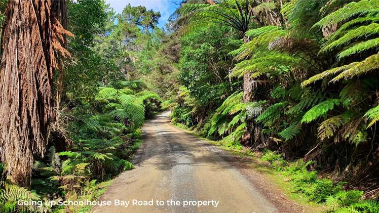 50 Schoolhouse Bay Road Kawau Island_16