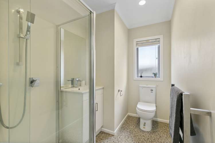 125a Miramar North Road Miramar_9