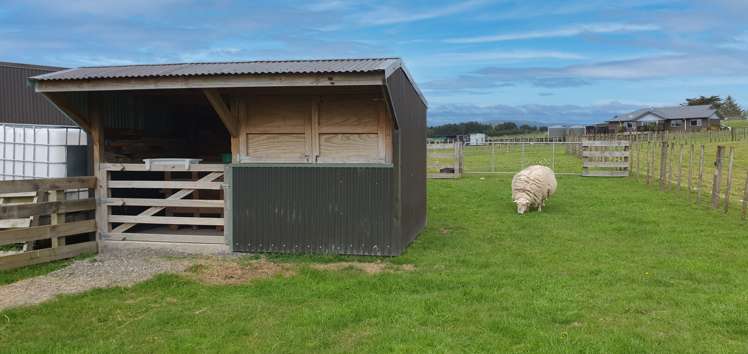 25 Ryland Park Levin_16