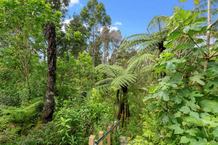 22 Hillcrest Road Hatfields Beach_21