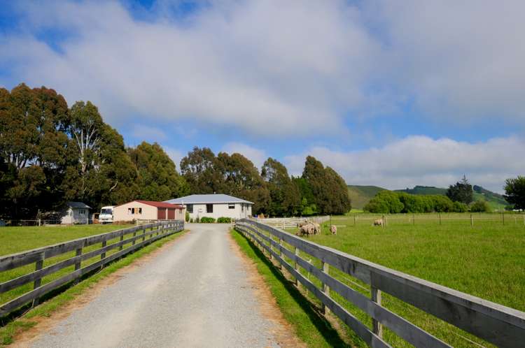 481 Hilderthorpe-Pukeuri Road Pukeuri_15