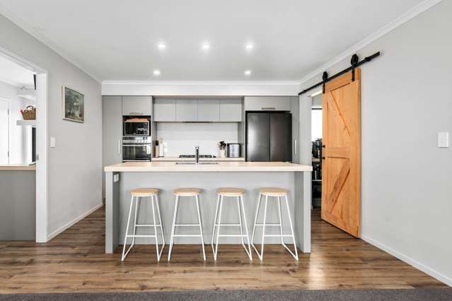 64 Farm Road Waipukurau and Surrounds_4