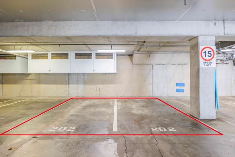 202/1 Bluegrey Avenue Stonefields_23