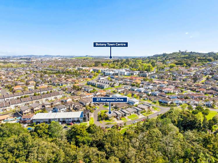 37 Norwood Drive Flat Bush_17