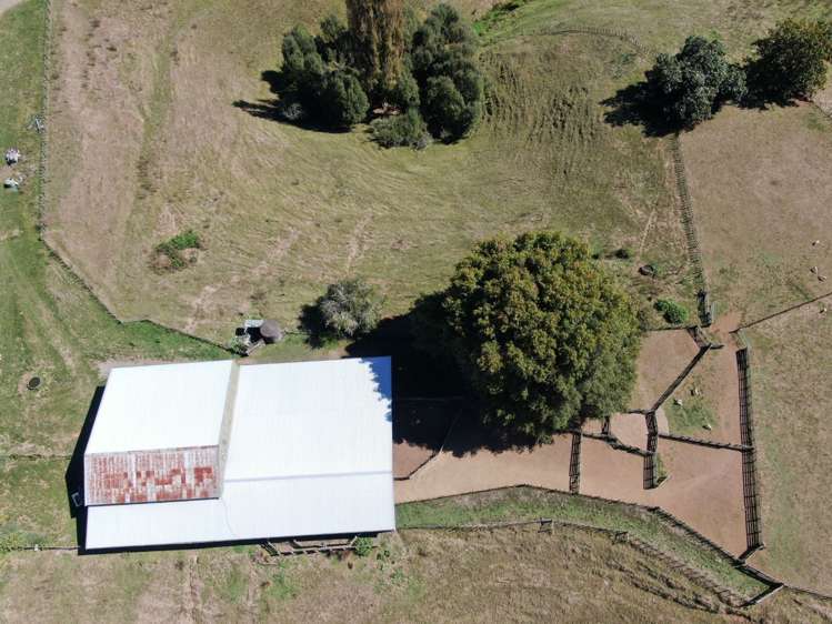 808 Roto Road Ohura_14