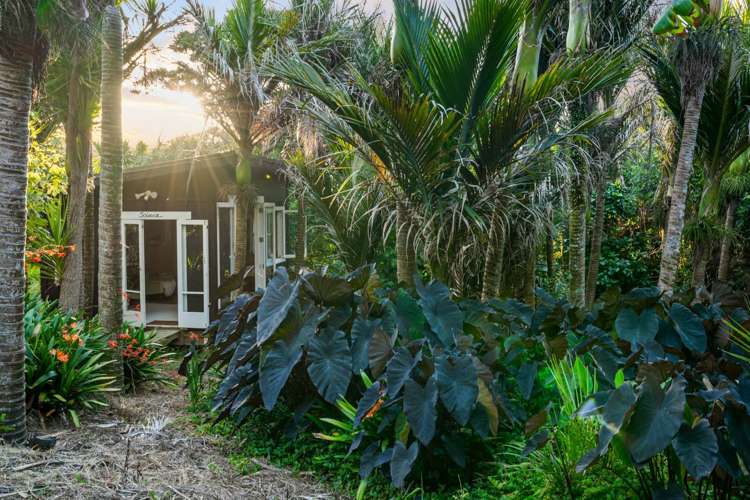 324 Motutara Road Muriwai_25