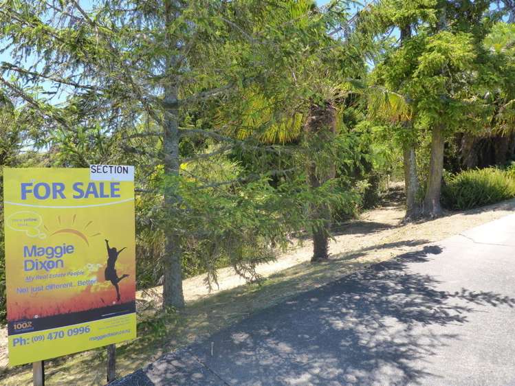 11 Punga Grove Avenue Riverside_3