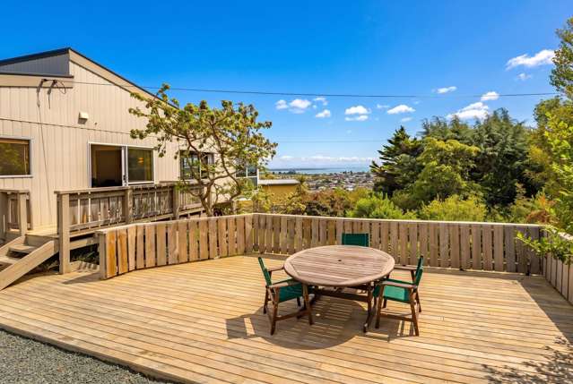 54 Chamberlain Street Tahunanui_1