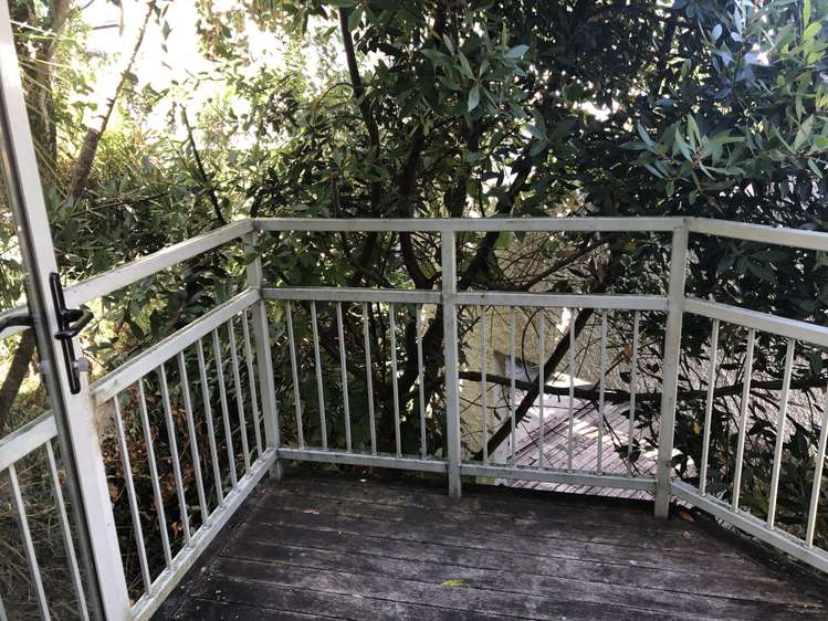 29h Saint Stephens Avenue Parnell_13