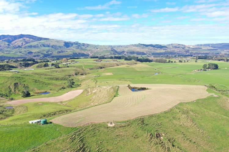 810 Spur Road Ashhurst_19